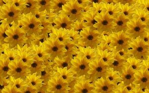 Experience deficiency or abundance? - deficiency - abundance - perspective - free initial session - stress - relaxation