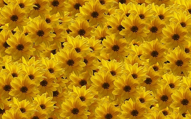 Experience deficiency or abundance? - deficiency - abundance - perspective - free initial session - stress - relaxation