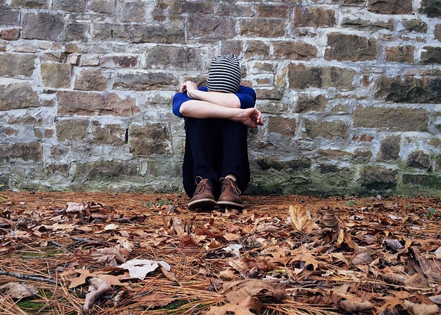 Anxiety and panic attacks - free initial session - panic attacks - anxiety - stimulus - symptoms - perception - interpretation - evolutionary biology - fight - flight - freeze